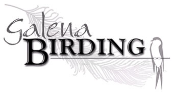 Galena Birding